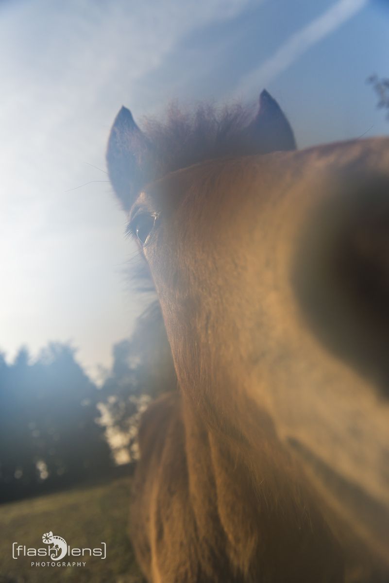 Ponyquarry 069