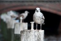 109 Fotofahrt Hamburg