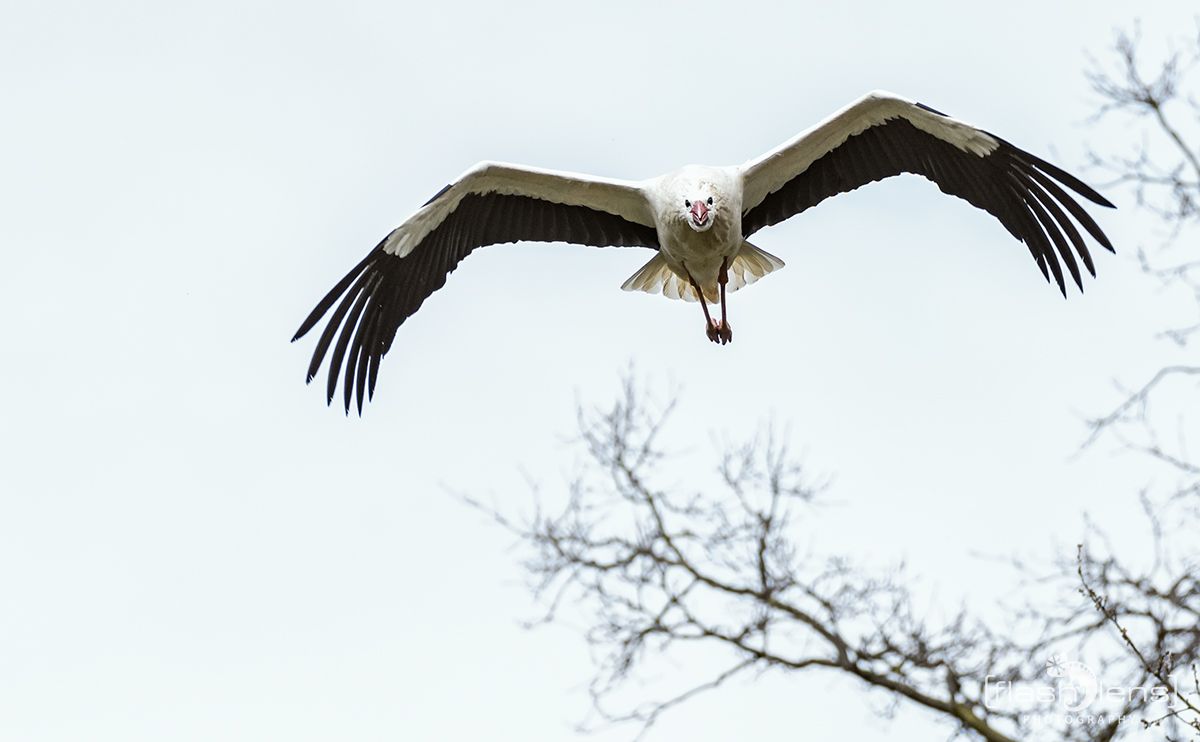 Naturzoo Rheine 002