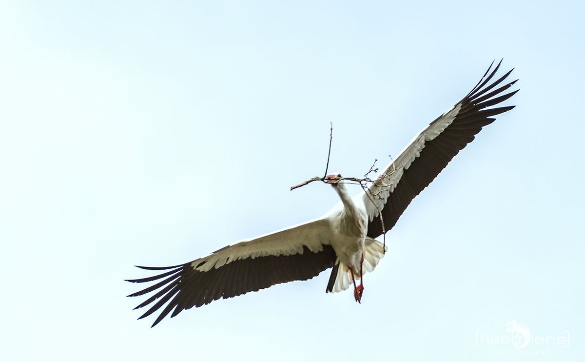 Naturzoo Rheine 003