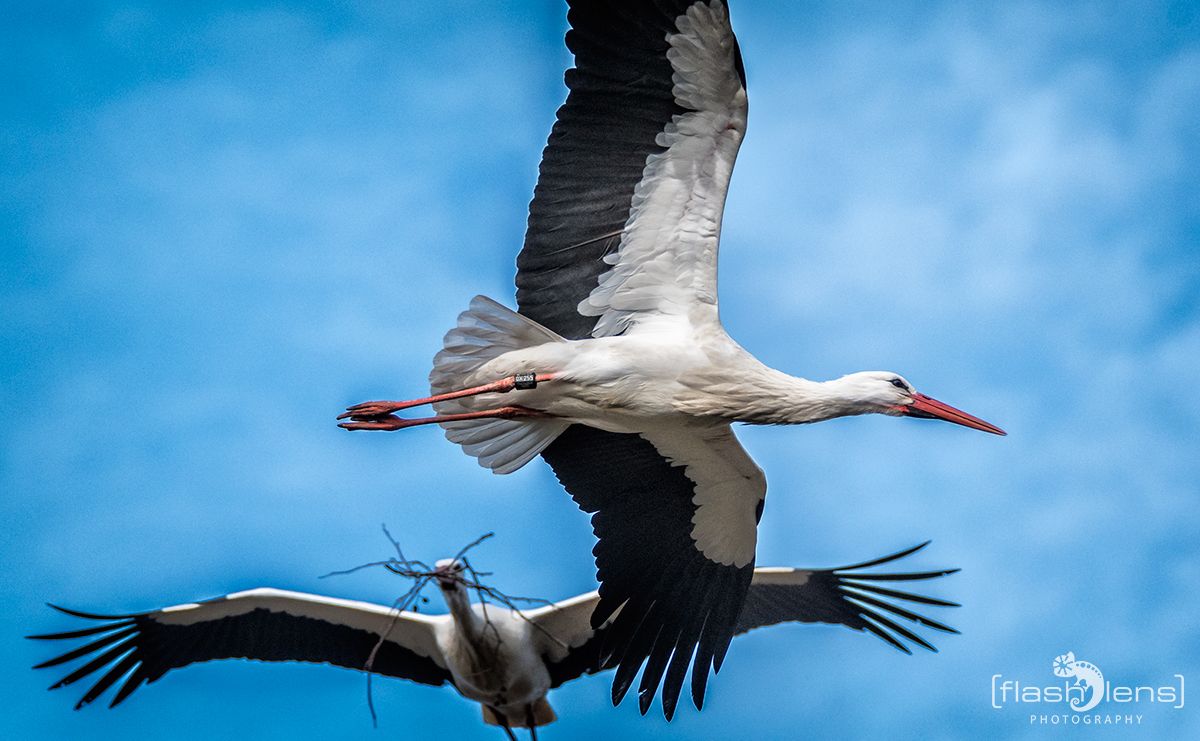 Naturzoo Rheine 005