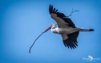 Naturzoo Rheine 006