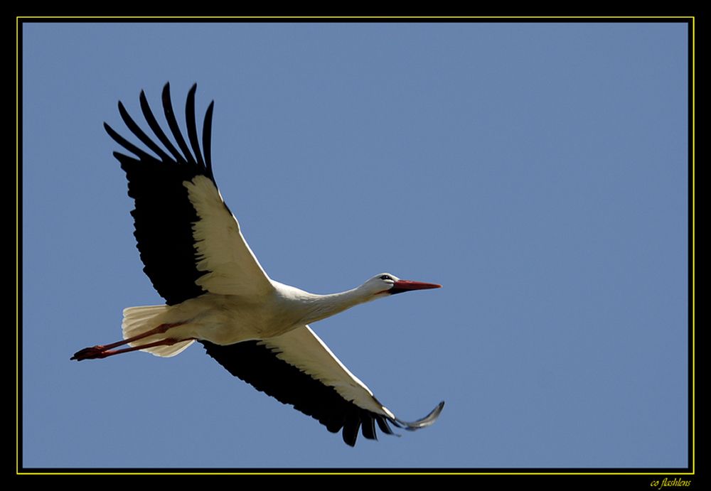 Naturzoo Rheine 009