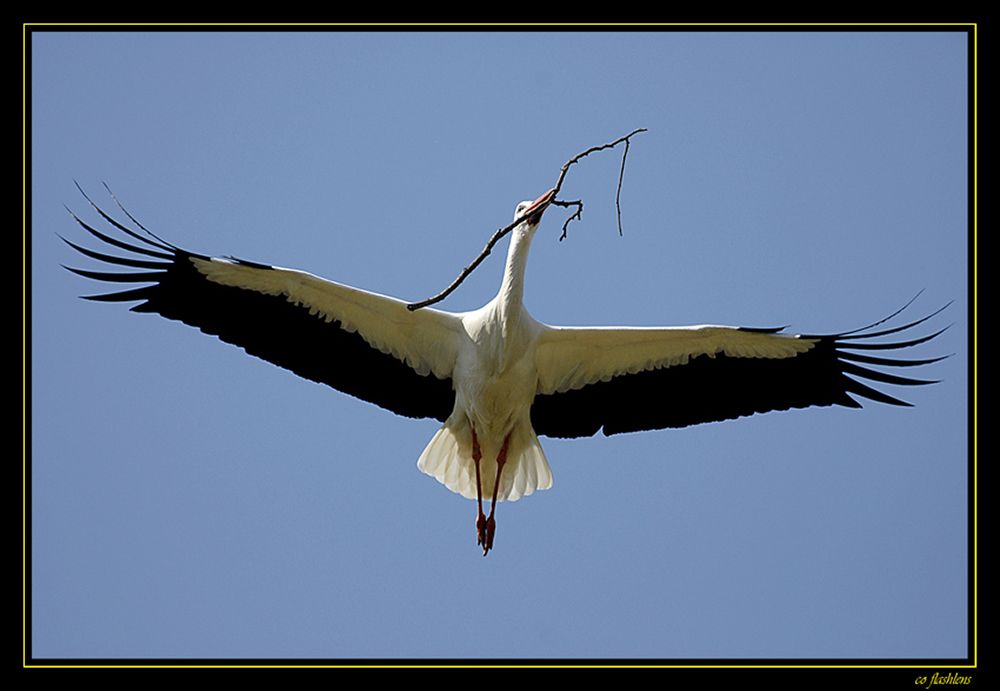 Naturzoo Rheine 010