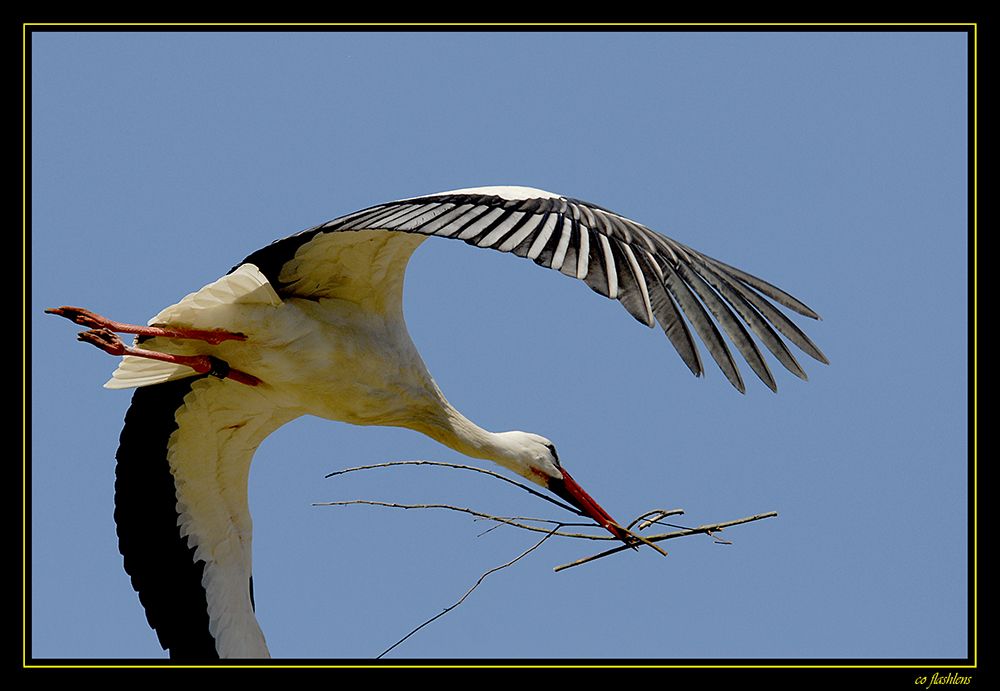 Naturzoo Rheine 020