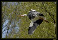 Naturzoo Rheine 024