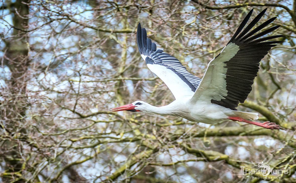 Naturzoo Rheine 026