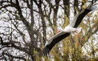 Naturzoo Rheine 027