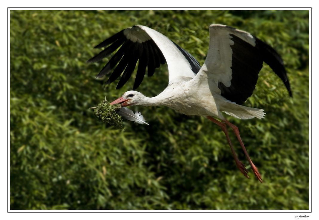 Naturzoo Rheine 031