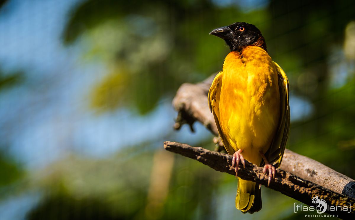 Naturzoo Rheine 056