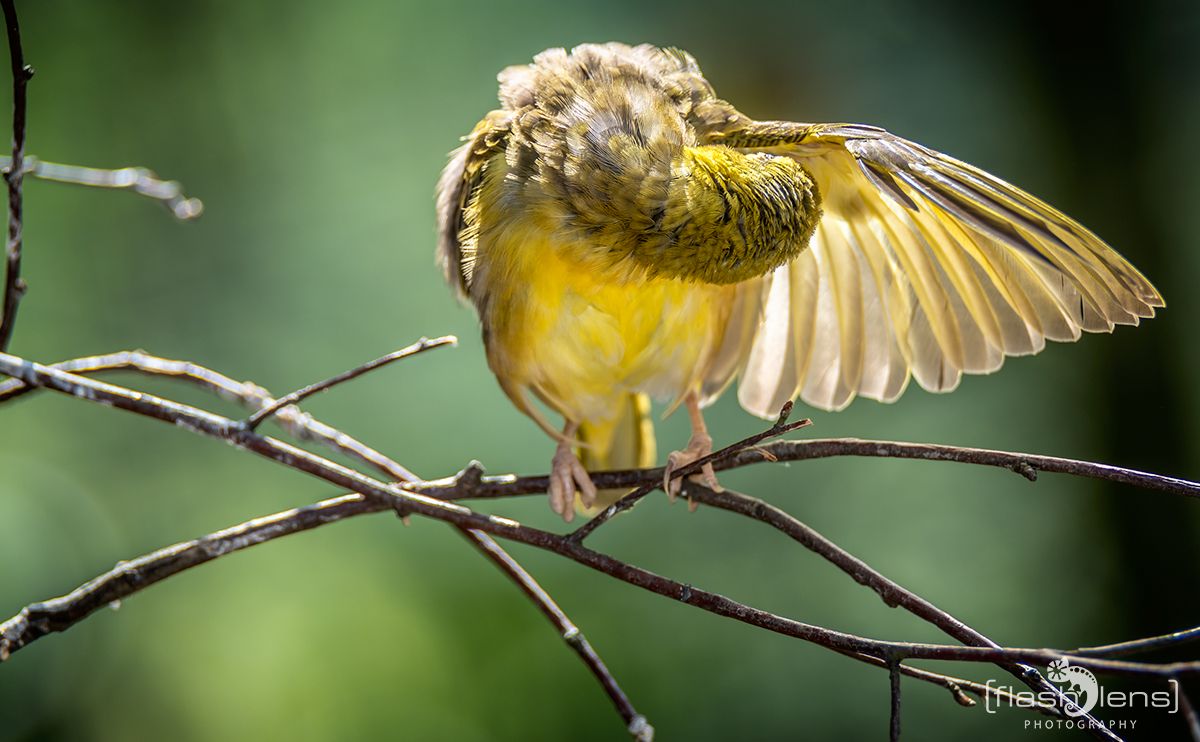 Naturzoo Rheine 064