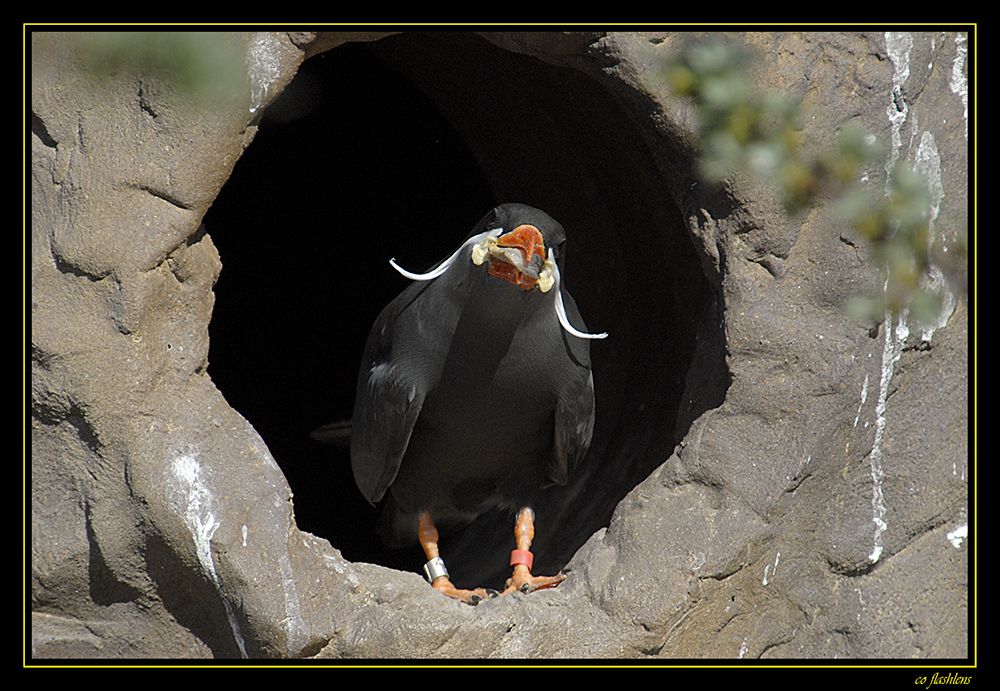 Naturzoo Rheine 069
