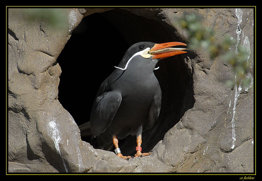 Naturzoo Rheine 070