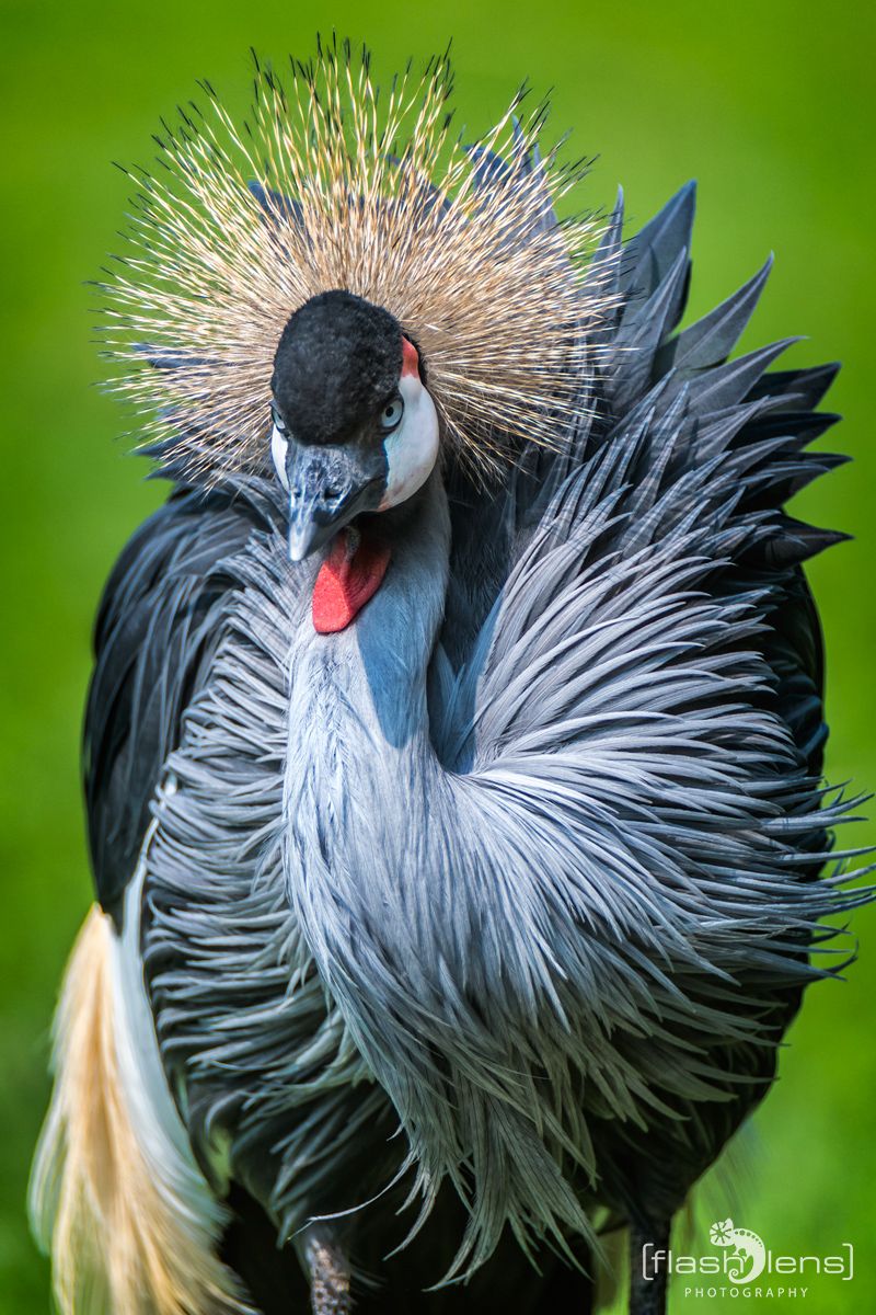 Naturzoo Rheine 081