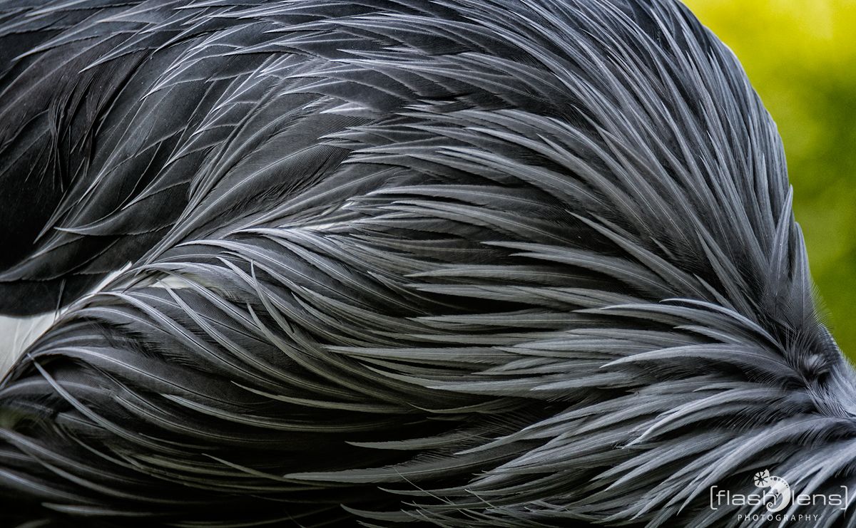 Naturzoo Rheine 082
