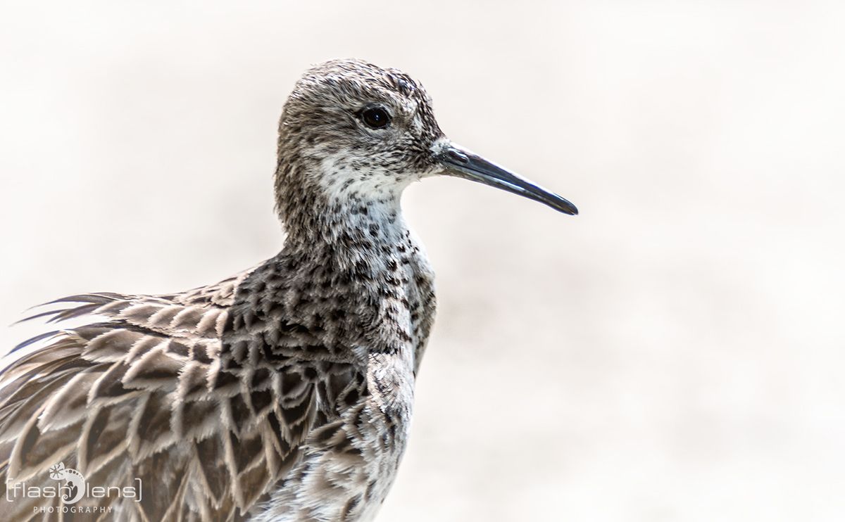 Naturzoo Rheine 085