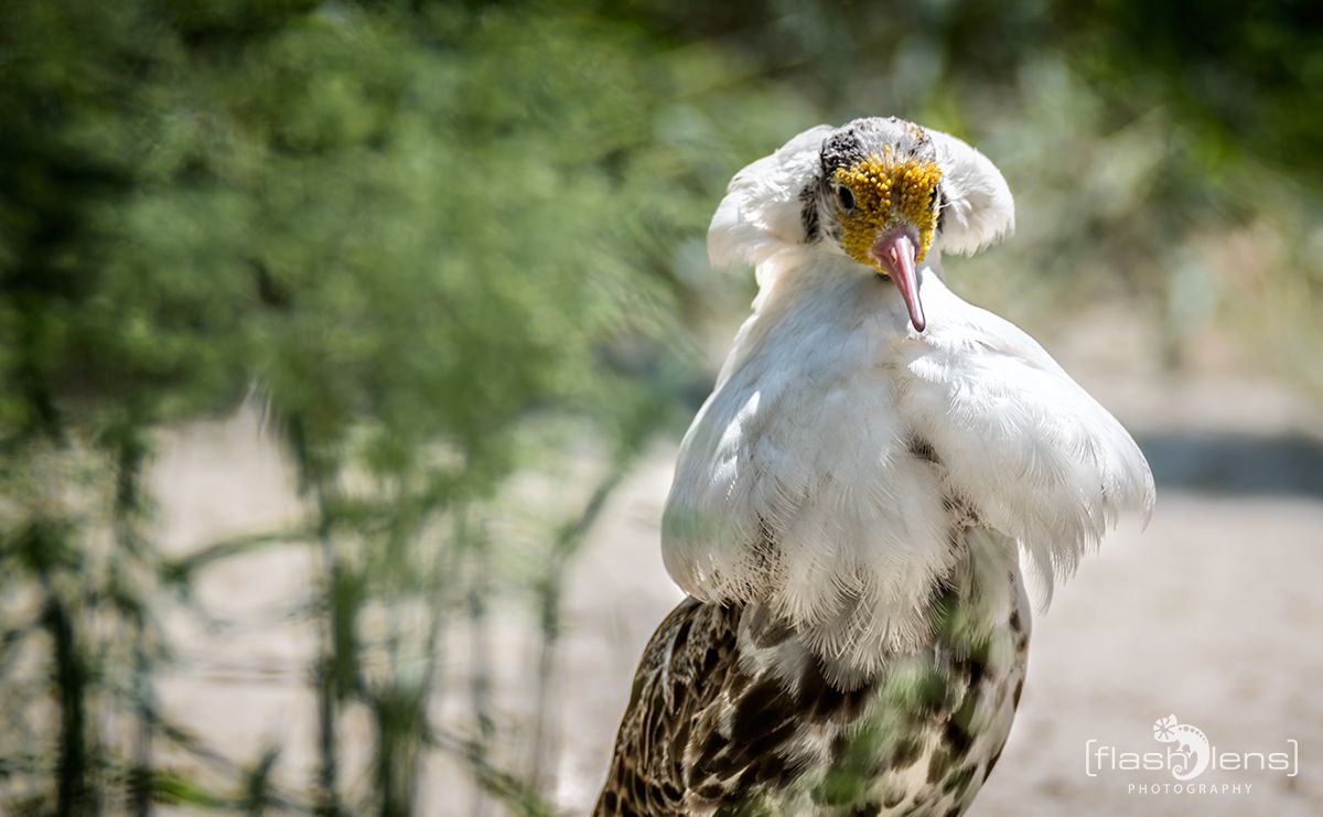 Naturzoo Rheine 087