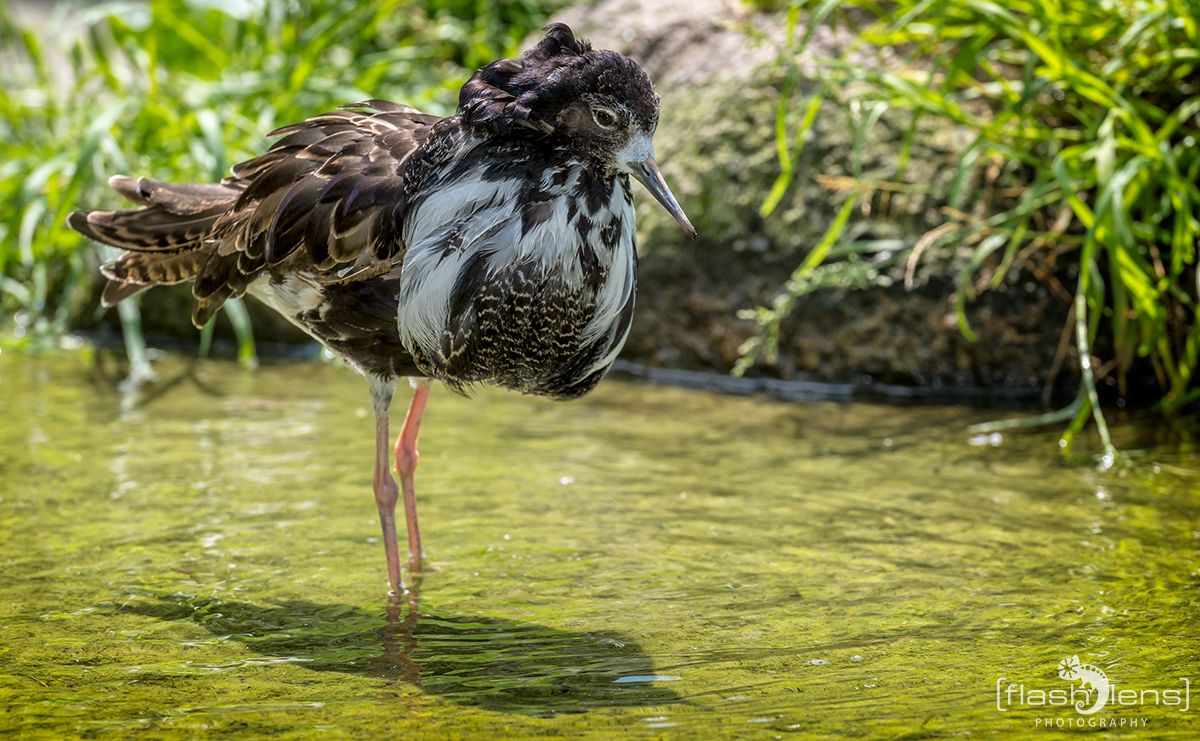 Naturzoo Rheine 089