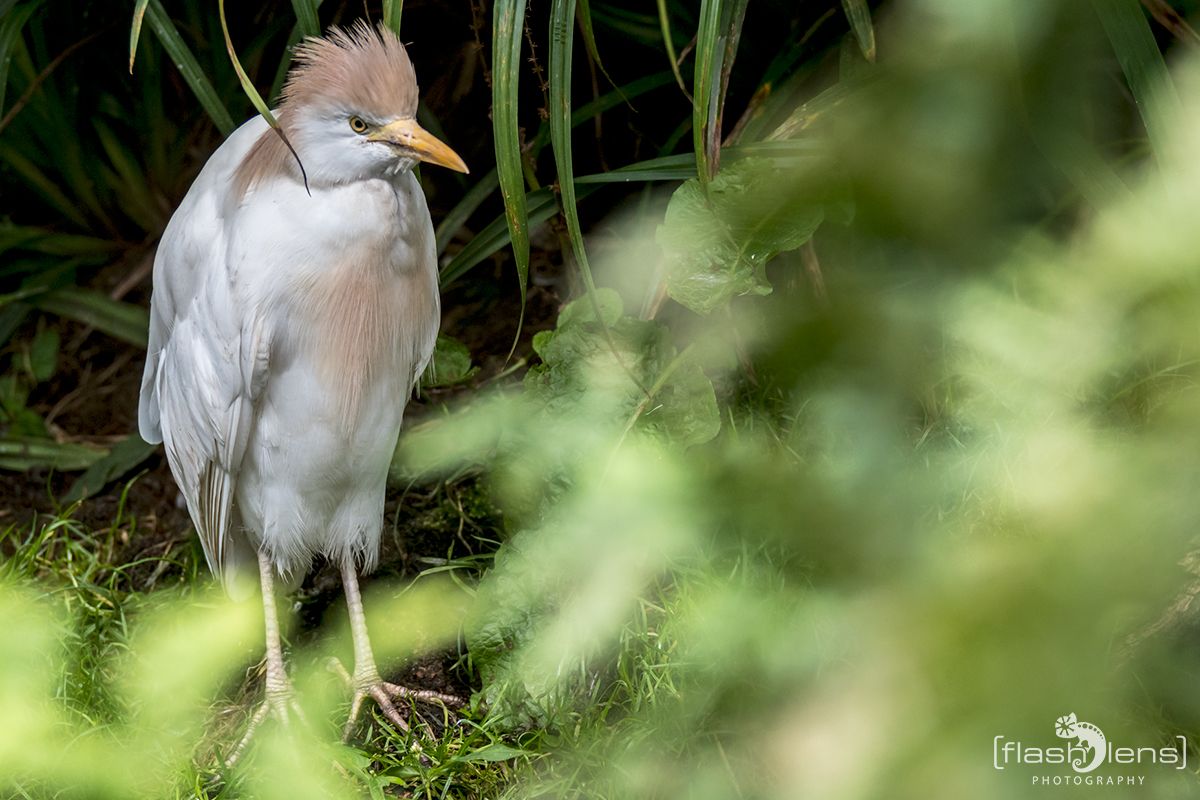 Naturzoo Rheine 090