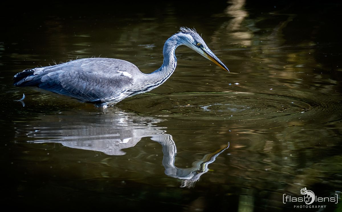 Naturzoo Rheine 092