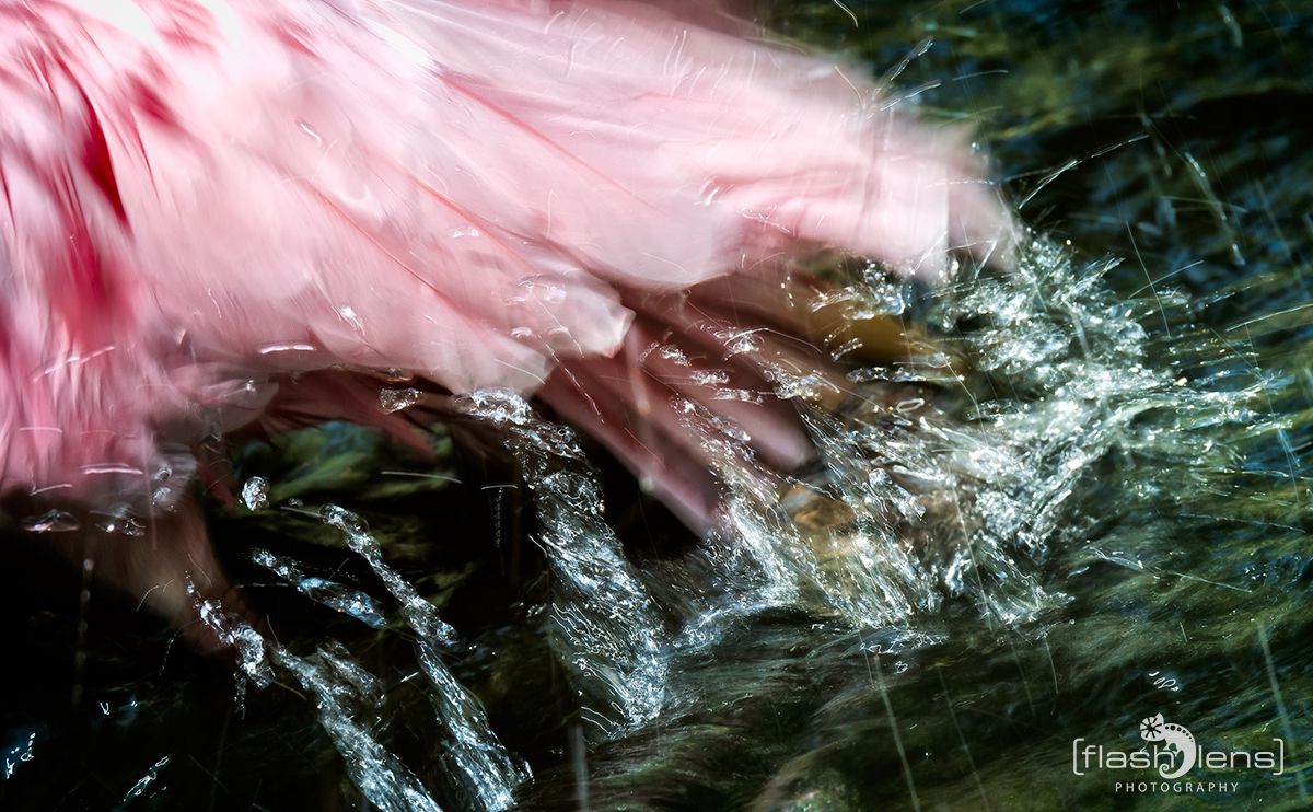 Naturzoo Rheine 096