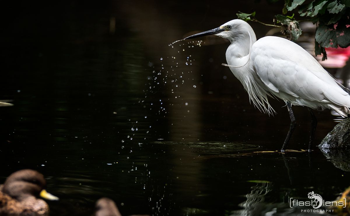 Naturzoo Rheine 106
