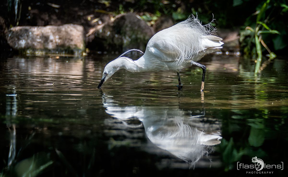 Naturzoo Rheine 107
