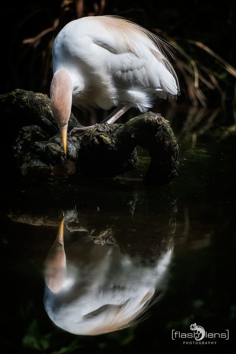 Naturzoo Rheine 110