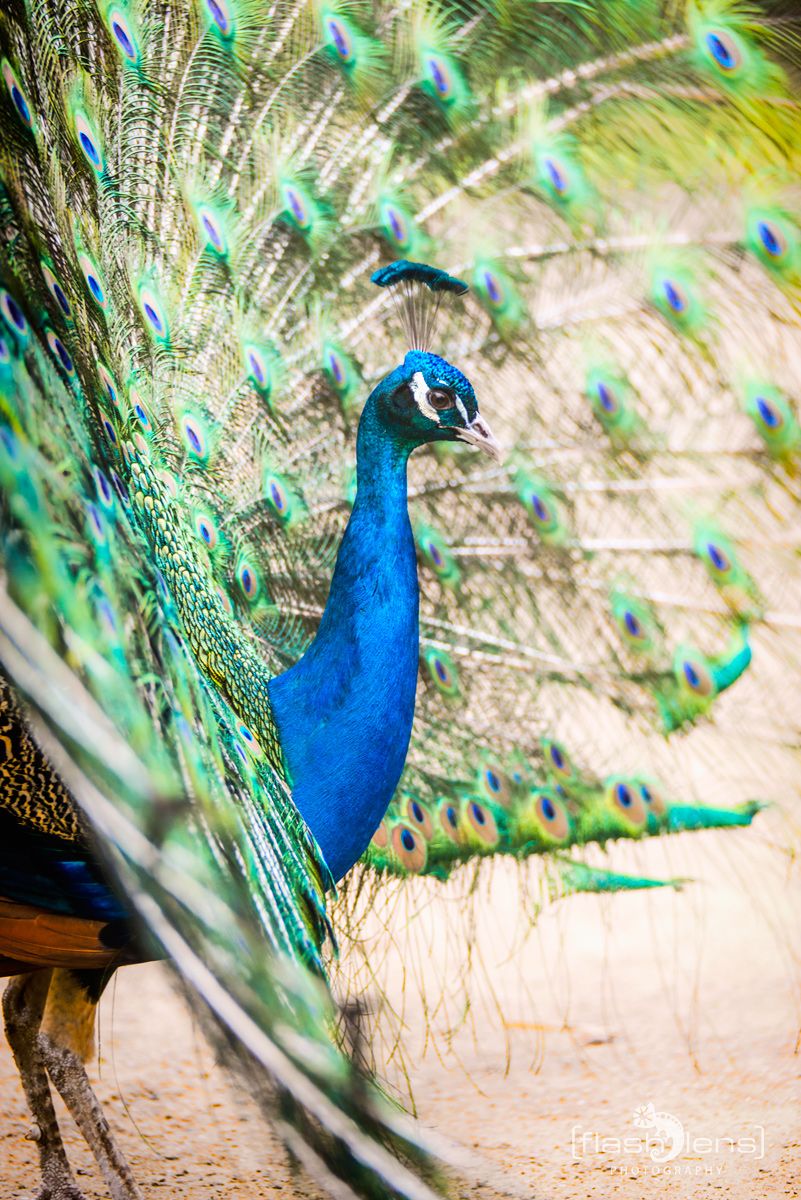 Naturzoo Rheine 112