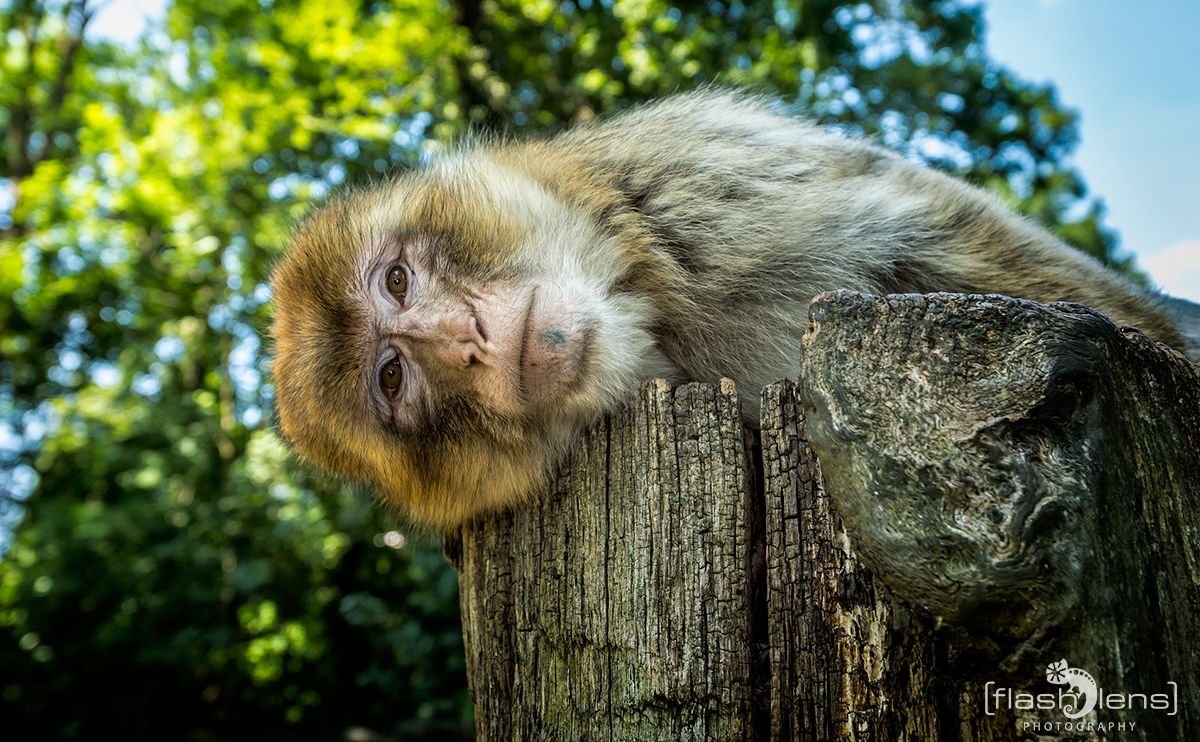 Naturzoo Rheine 123