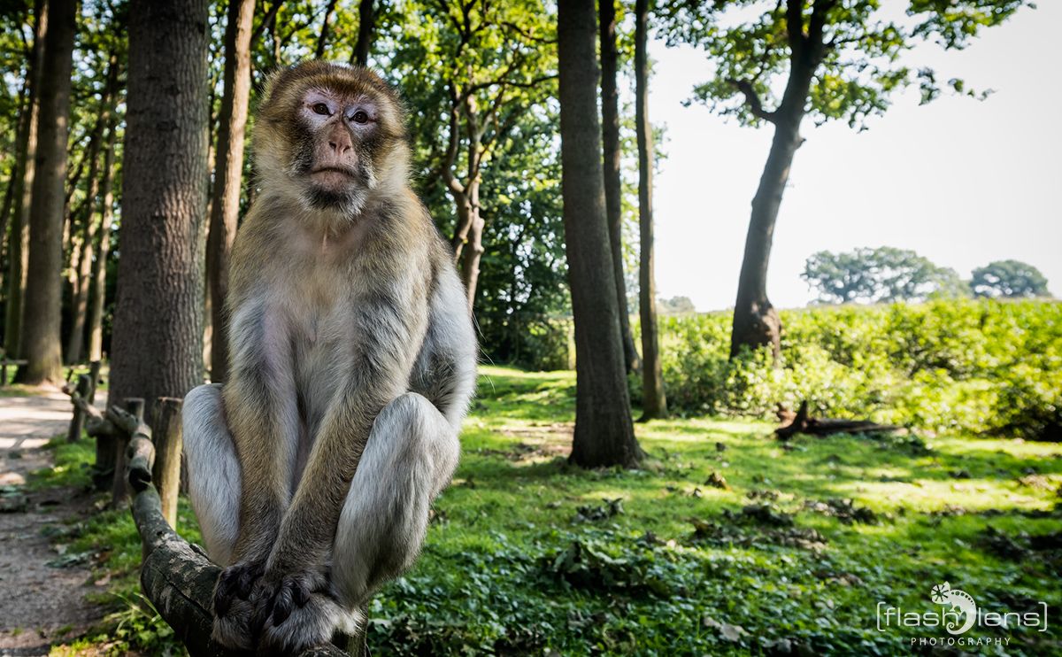 Naturzoo Rheine 125