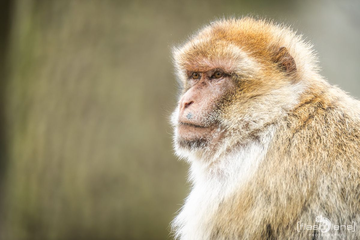 Naturzoo Rheine 128