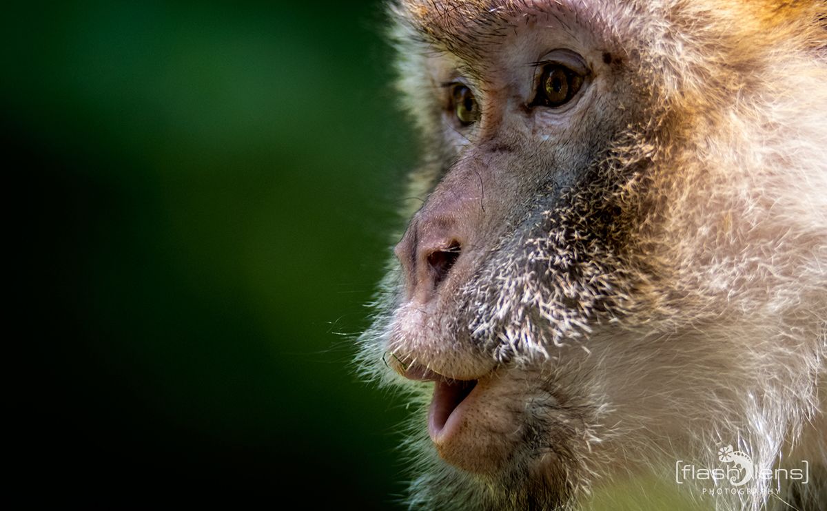 Naturzoo Rheine 129