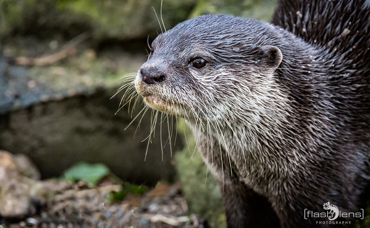 Naturzoo Rheine 131