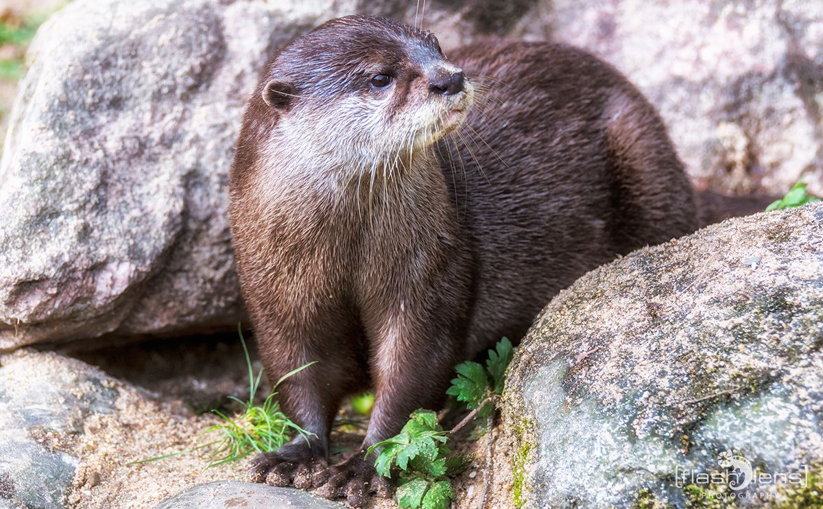 Naturzoo Rheine 135