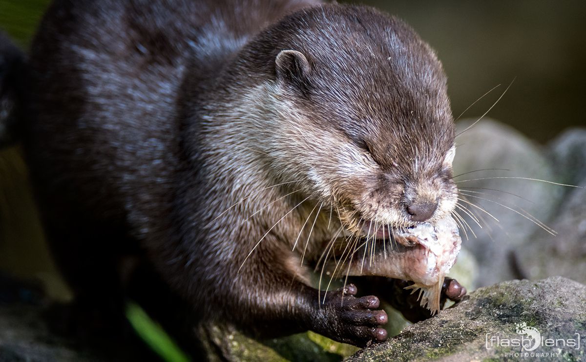 Naturzoo Rheine 137