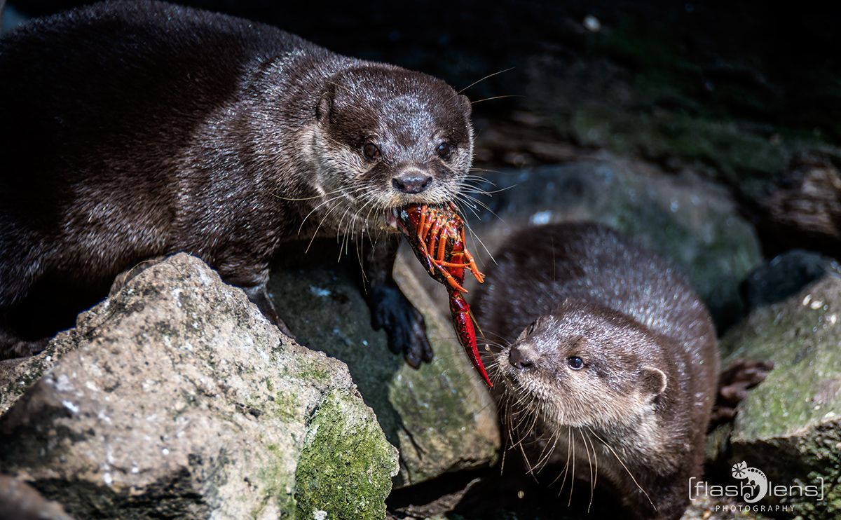 Naturzoo Rheine 138