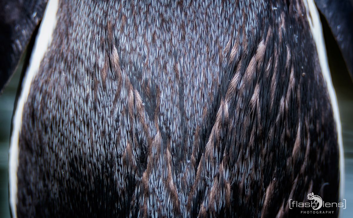 Naturzoo Rheine 146