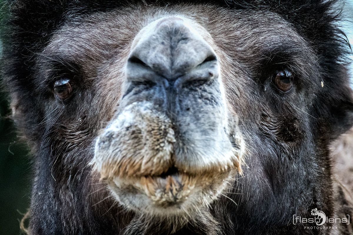 Naturzoo Rheine 149