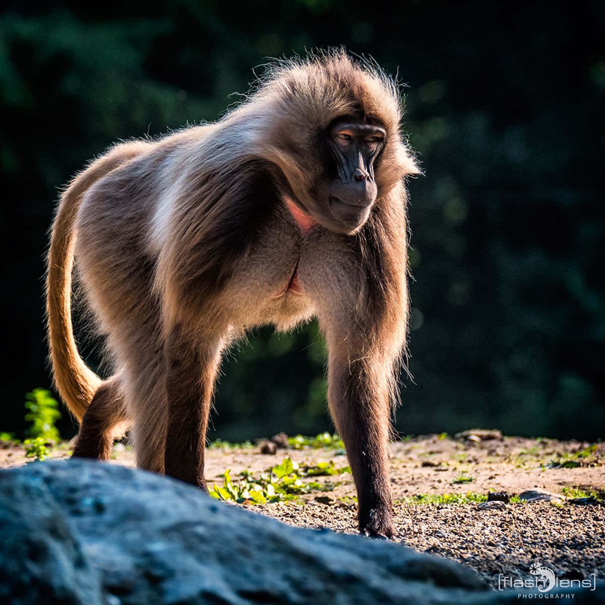 Naturzoo Rheine 152