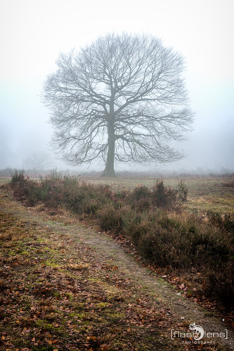 Wahner Heide 004