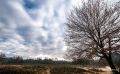 Wahner Heide 007