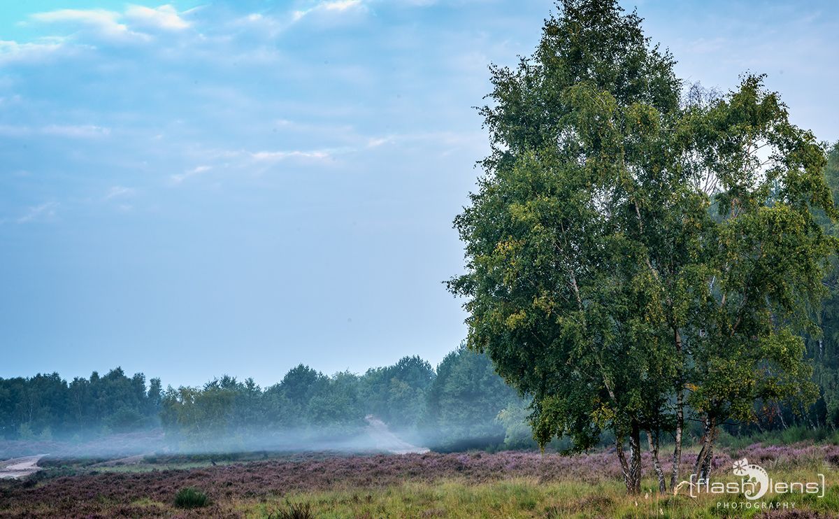 Wahner Heide 012