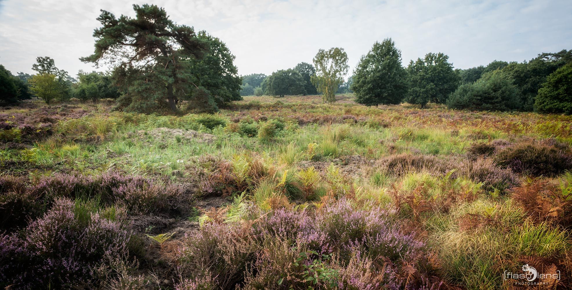 Wahner Heide 014