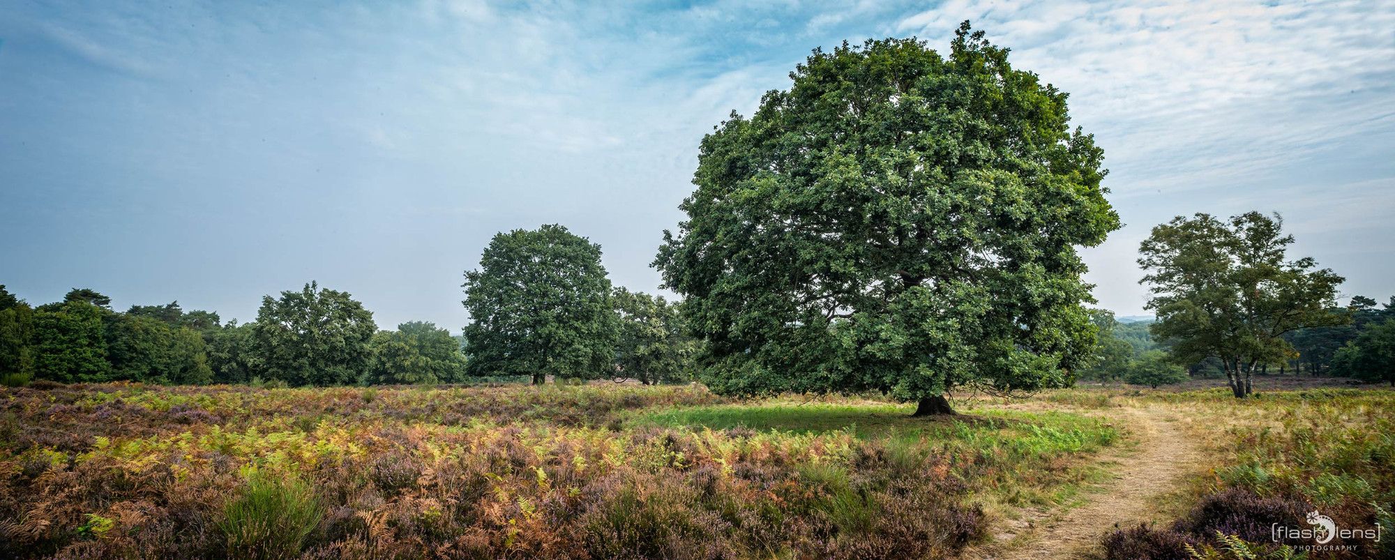 Wahner Heide 020