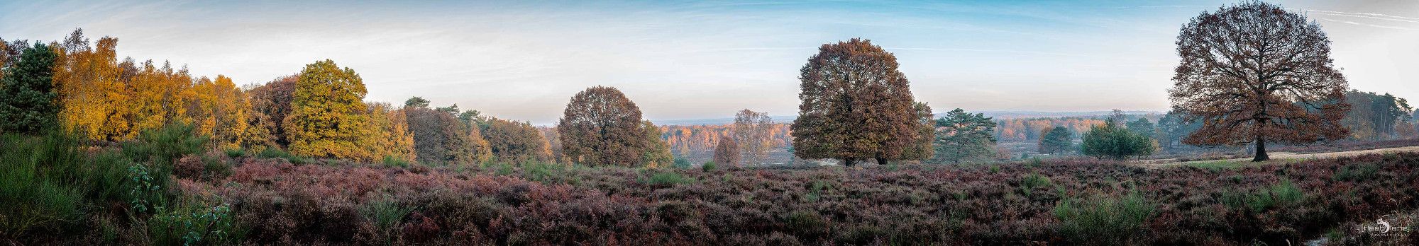 Wahner Heide 025