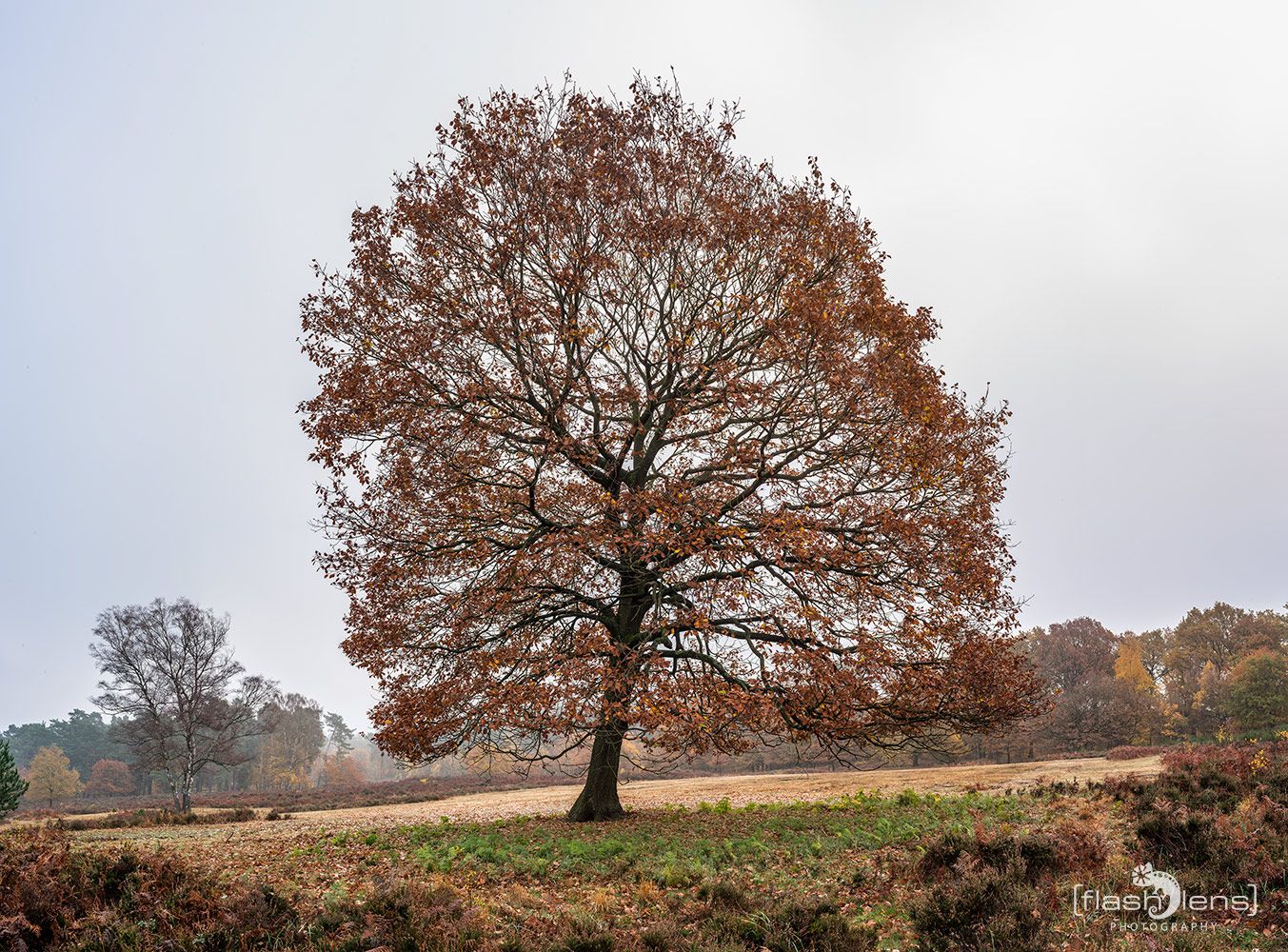 Wahner Heide 030