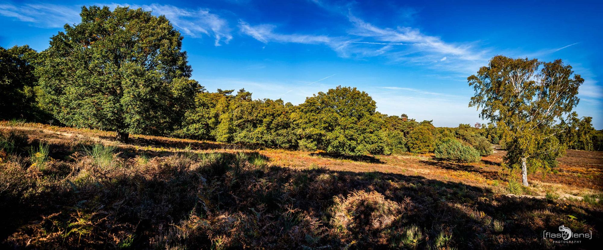 Wahner Heide 041