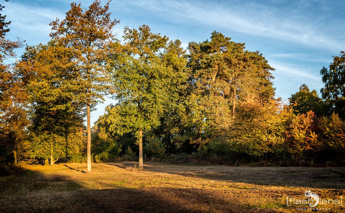 Wahner Heide 043