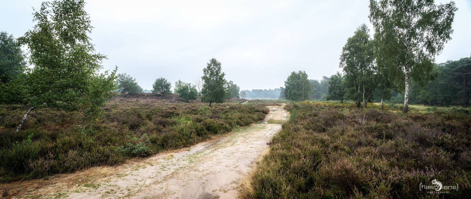 Wahner Heide 049